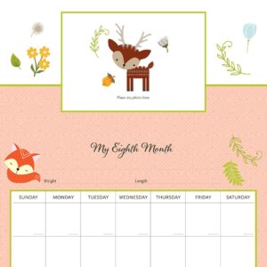 My Life as a Baby: A First-Year Calendar (Woodland Friends)