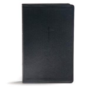 csb everyday study bible, black leathertouch, black letter, study notes, illustrations, aricles, easy-to-carry, easy-to-read bible serif type