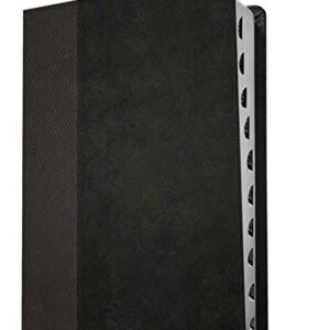 NLT Personal Size Giant Print Bible, Filament-Enabled Edition (LeatherLike, Black/Onyx, Indexed, Red Letter): Includes Free Access to the Filament ... Notes, Devotionals, Worship Music, and Video