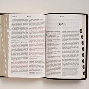 NLT Personal Size Giant Print Bible, Filament-Enabled Edition (LeatherLike, Black/Onyx, Indexed, Red Letter): Includes Free Access to the Filament ... Notes, Devotionals, Worship Music, and Video