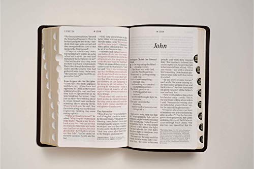 NLT Personal Size Giant Print Bible, Filament-Enabled Edition (LeatherLike, Black/Onyx, Indexed, Red Letter): Includes Free Access to the Filament ... Notes, Devotionals, Worship Music, and Video