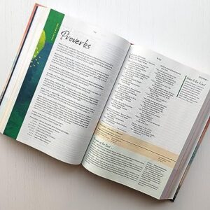 NLT Courage For Life Study Bible for Women (Hardcover, Filament Enabled)