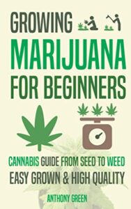 growing marijuana for beginners: cannabis growguide - from seed to weed