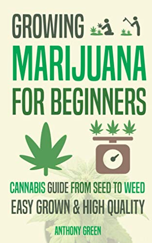 Growing Marijuana for Beginners: Cannabis Growguide - From Seed to Weed