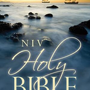 NIV, Holy Bible, Larger Print, Paperback