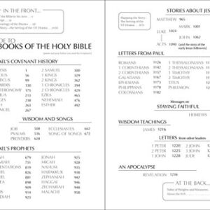 NIV, Holy Bible, Larger Print, Paperback