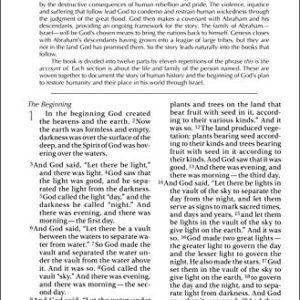 NIV, Holy Bible, Larger Print, Paperback