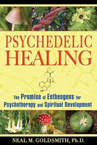 psychedelic healing: the promise of entheogens for psychotherapy and spiritual development