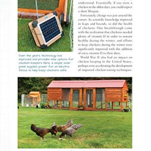 Chicken DIY: 20 Fun-to-Make Projects for Happy and Healthy Chickens (CompanionHouse Books) Coops, Ramps, Roosts, Nest Boxes, Feeders, Waterers, and More, with Materials Lists; plus Bonus Egg Recipes