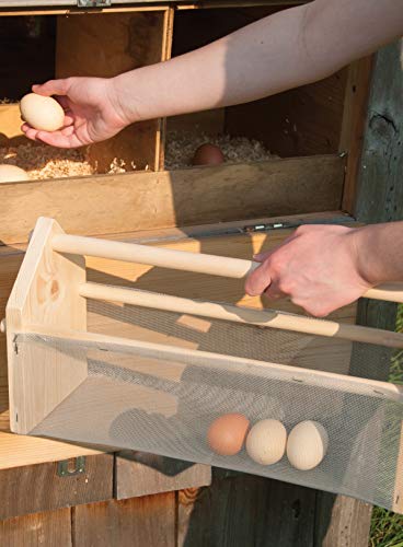 Chicken DIY: 20 Fun-to-Make Projects for Happy and Healthy Chickens (CompanionHouse Books) Coops, Ramps, Roosts, Nest Boxes, Feeders, Waterers, and More, with Materials Lists; plus Bonus Egg Recipes