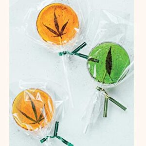 The Weed Gummies Cookbook: Recipes for Cannabis Candies, THC and CBD Edibles, and More (Guides to Psychedelics & More)