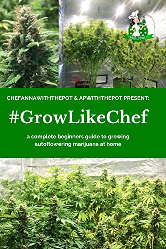 #GROWLIKECHEF: a complete beginners guide to growing autoflowering marijuana at home