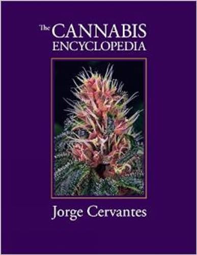 The Cannabis Encyclopedia: The Definitive Guide to Cultivation & Consumption of Medical Marijuana