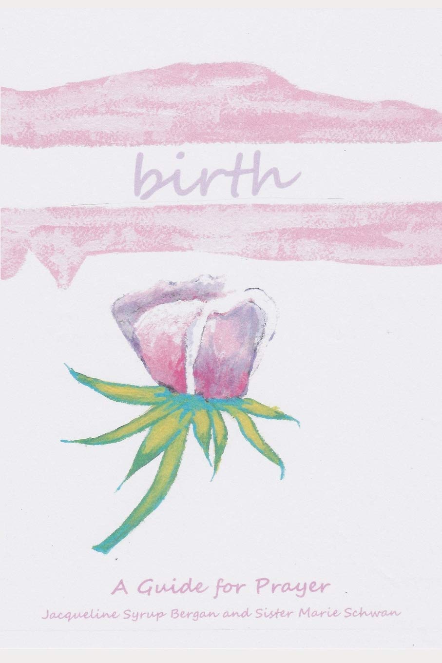 Birth: A Guide for Prayer (Take & Receive Series)