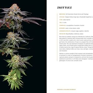 Higher: The Lore, Legends, and Legacy of Cannabis