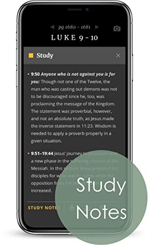 NLT Thinline Reference Holy Bible (Red Letter, LeatherLike, Brushed Pink): Includes Free Access to the Filament Bible App Delivering Study Notes, Devotionals, Worship Music, and Video