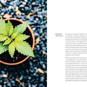 The Cannabis Gardener: A Beginner's Guide to Growing Vibrant, Healthy Plants in Every Region [A Marijuana Gardening Book]