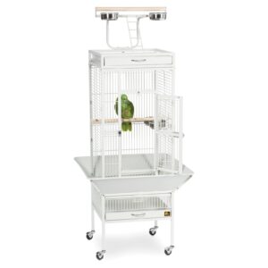 Prevue Pet Products Wrought Iron Select Bird Cage Black Hammertone 3151BLK