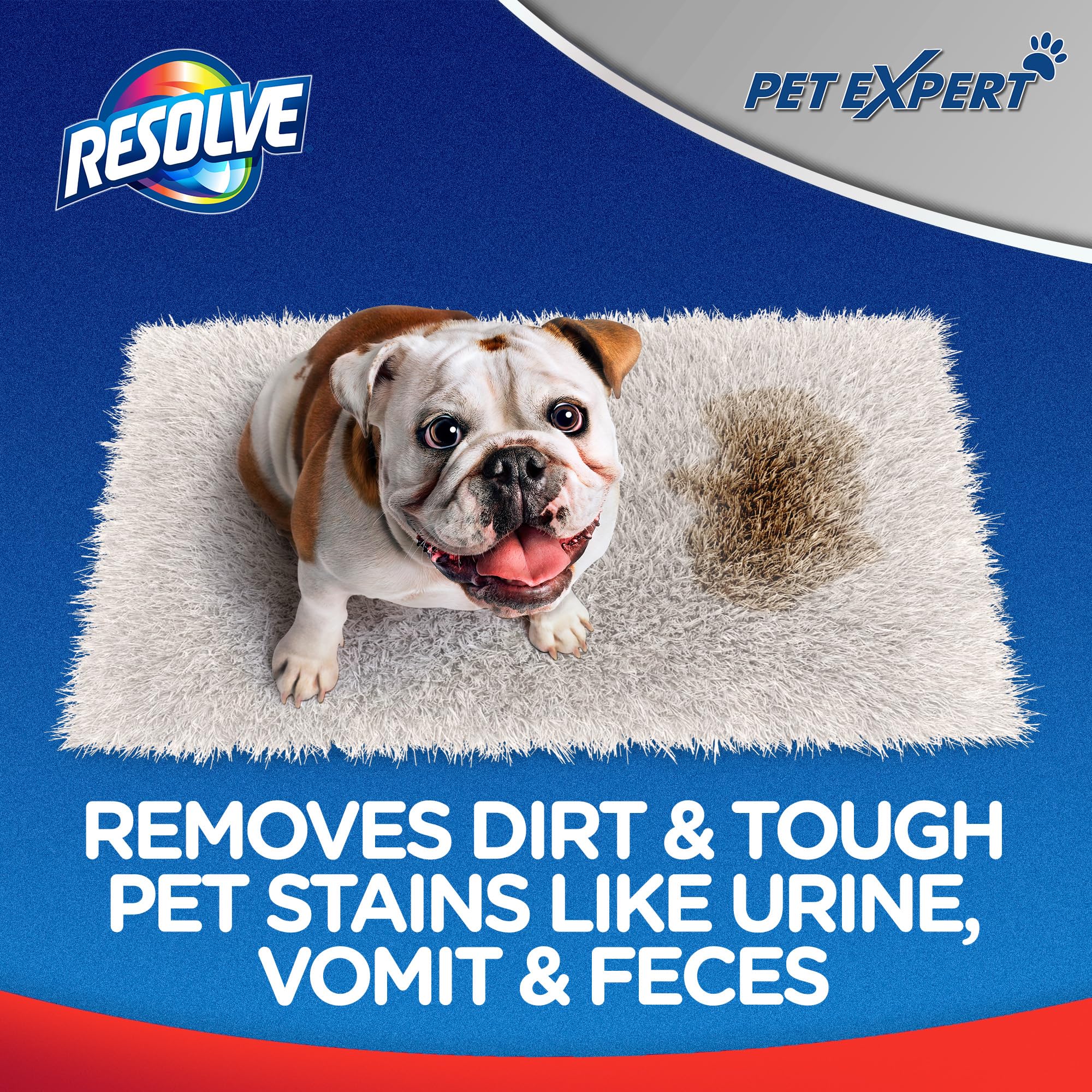 Resolve Pet Expert Carpet Spot & Stain Remover Spray, Pet Stain and Odor Remover, Carpet Cleaner, 22oz (Pack of 2)