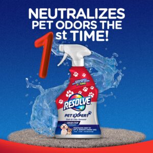 Resolve Pet Expert Carpet Spot & Stain Remover Spray, Pet Stain and Odor Remover, Carpet Cleaner, 22oz (Pack of 2)