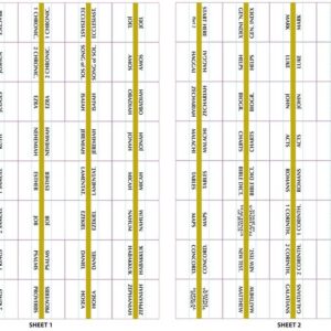 Tabbies Gold-Edged Bible Indexing Tabs, Old & New Testament, 80 Tabs Including 64 Books & 16 Reference Tabs (58331)