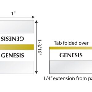 Tabbies Gold-Edged Bible Indexing Tabs, Old & New Testament, 80 Tabs Including 64 Books & 16 Reference Tabs (58331)