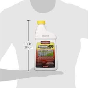 GORDON'S Amine 400 2,4-D Weed Killer, 1 Quart - 8141082