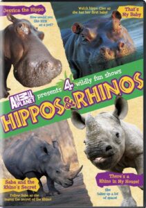 hippos & rhinos