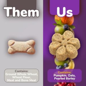 Fruitables Crunchy Baked Dog Treats | Pumpkin & Blueberry | 7 Ounces, Model Number: 2157