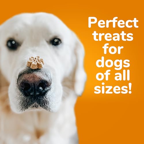 Fruitables Crunchy Baked Dog Treats | Pumpkin & Blueberry | 7 Ounces, Model Number: 2157