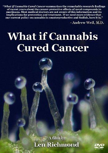 What If Cannabis Cured Cancer