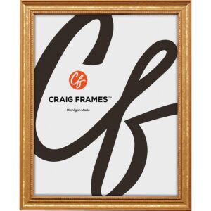 craig frames 16x20 picture frame, 0.75" traditional ornate gold, wall hanging