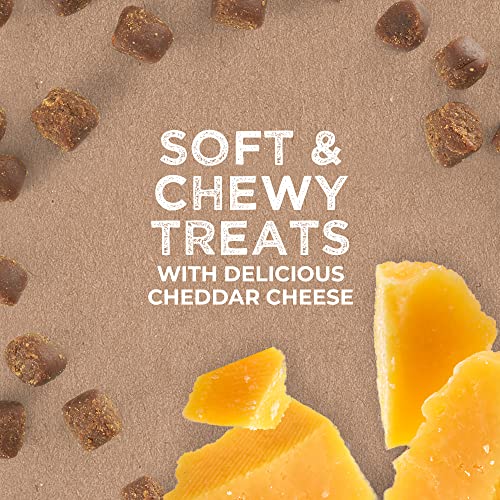 Cloud Star Tricky Trainers Soft & Chewy Dog Training Treats 5 oz Pouch, Cheddar Flavor, Low Calorie Behavior Aid with 130 treats