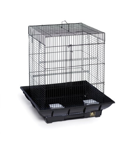 Prevue Hendryx SP850B/B Clean Life Cockatiel Cage, Black, 1/2"