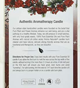 Aroma Naturals Holiday Orange, Clove and Cinnamon Essential Oil Scented Pillar Candle, Warm Spice, 2.5 inch x 4 inch