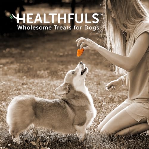 Healthfuls Sweet Potato Slices Dog Treats, 16oz