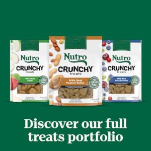 Nutro Crunchy Dog Treats With Real Peanut Butter, 16 oz. Bag