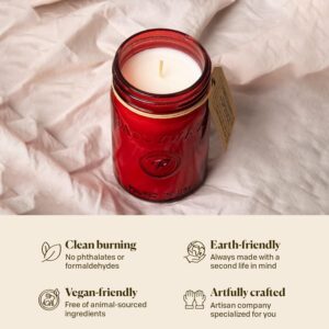 Paddywax Scented Relish Collection Soy Wax Artisan Candle in Glass Jar with Lid, 9.5-Ounce, Pomegranate + Spruce