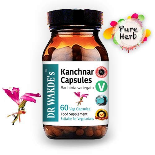 DR WAKDE'S Kanchnar Capsules (Bauhinia variegata) | 60 Veg Caps | Ayurvedic Supplement | Vegan | 100% Herbal | Quantity Discounts