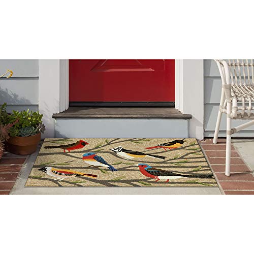 Liora Manne Frontporch Birds Indoor/Outdoor Rug, 2 x 3 ft, Multi