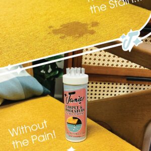 Janie Dry Stick Spot & Carpet Cleaner (1.8 oz)