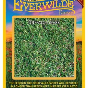 Everwilde Farms - 100 Buffalo Grass Native Grass Seeds - Gold Vault Jumbo Seed Packet