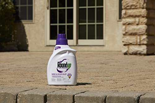 Roundup Super Concentrate Weed & Grass Killer - Includes Easy Measure Cap, 0.5 gal.