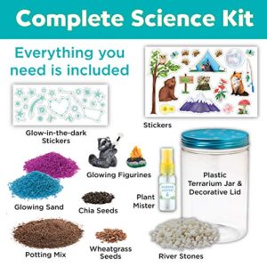 Creativity for Kids Grow 'N Glow Terrarium Kit for Kids - Educational Science Kits Ages 6-8+, Kids Gifts for Boys and Girls, Craft and STEM Projects