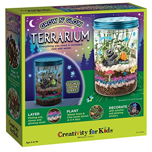 Creativity for Kids Grow 'N Glow Terrarium Kit for Kids - Educational Science Kits Ages 6-8+, Kids Gifts for Boys and Girls, Craft and STEM Projects