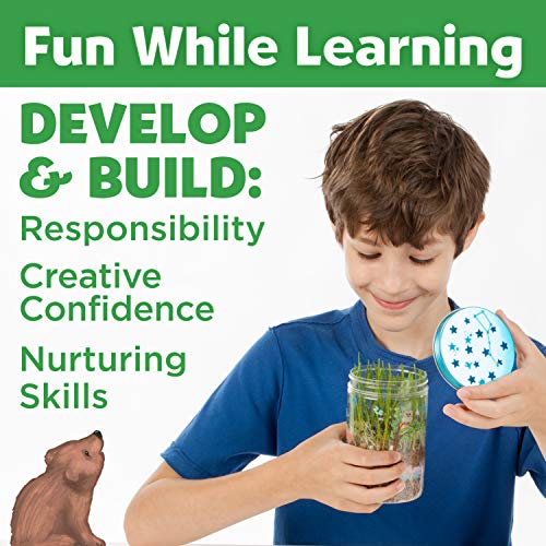 Creativity for Kids Grow 'N Glow Terrarium Kit for Kids - Educational Science Kits Ages 6-8+, Kids Gifts for Boys and Girls, Craft and STEM Projects