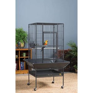 Prevue Pet Products 3352COCO Park Plaza Bird Cage, Coco Brown,Large