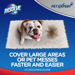 Resolve Pet Expert High Traffic Area, Carpet Foam, 22 Oz (Pack of 1)