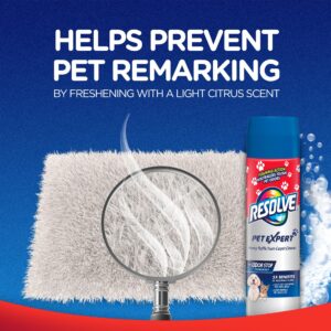 Resolve Pet Expert High Traffic Area, Carpet Foam, 22 Oz (Pack of 1)