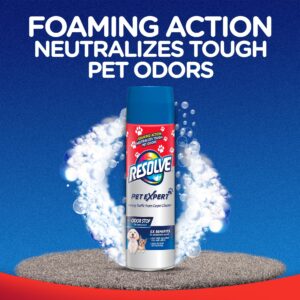 Resolve Pet Expert High Traffic Area, Carpet Foam, 22 Oz (Pack of 1)